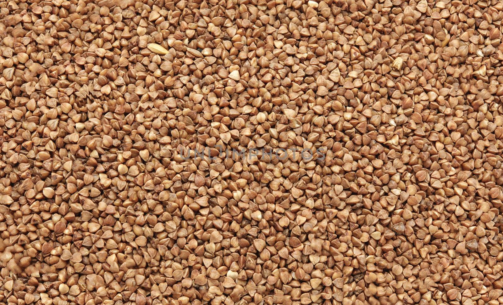 Buckwheat texture -uncooked raw food, close up