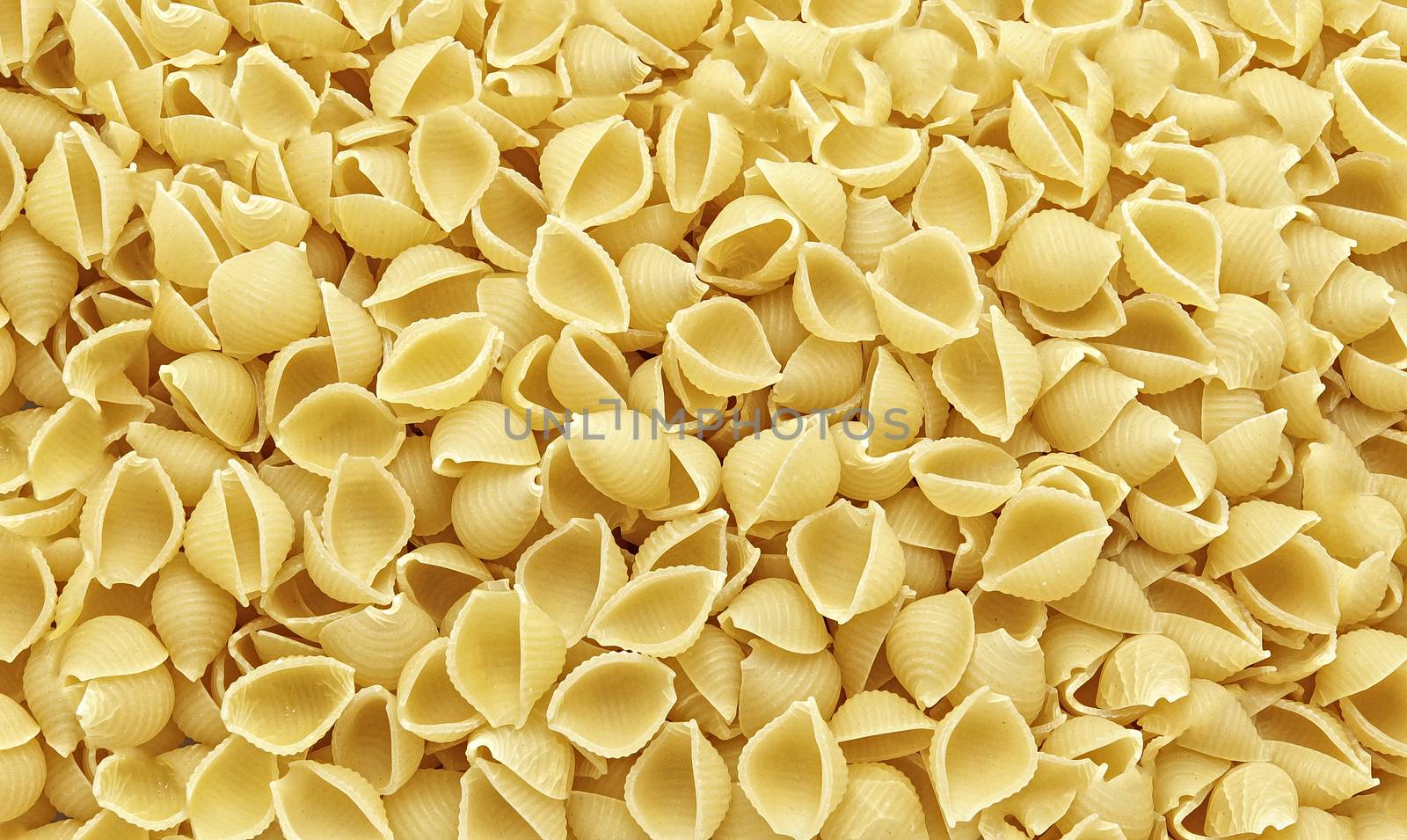 Pasta shells with additional texture and details by Studia72