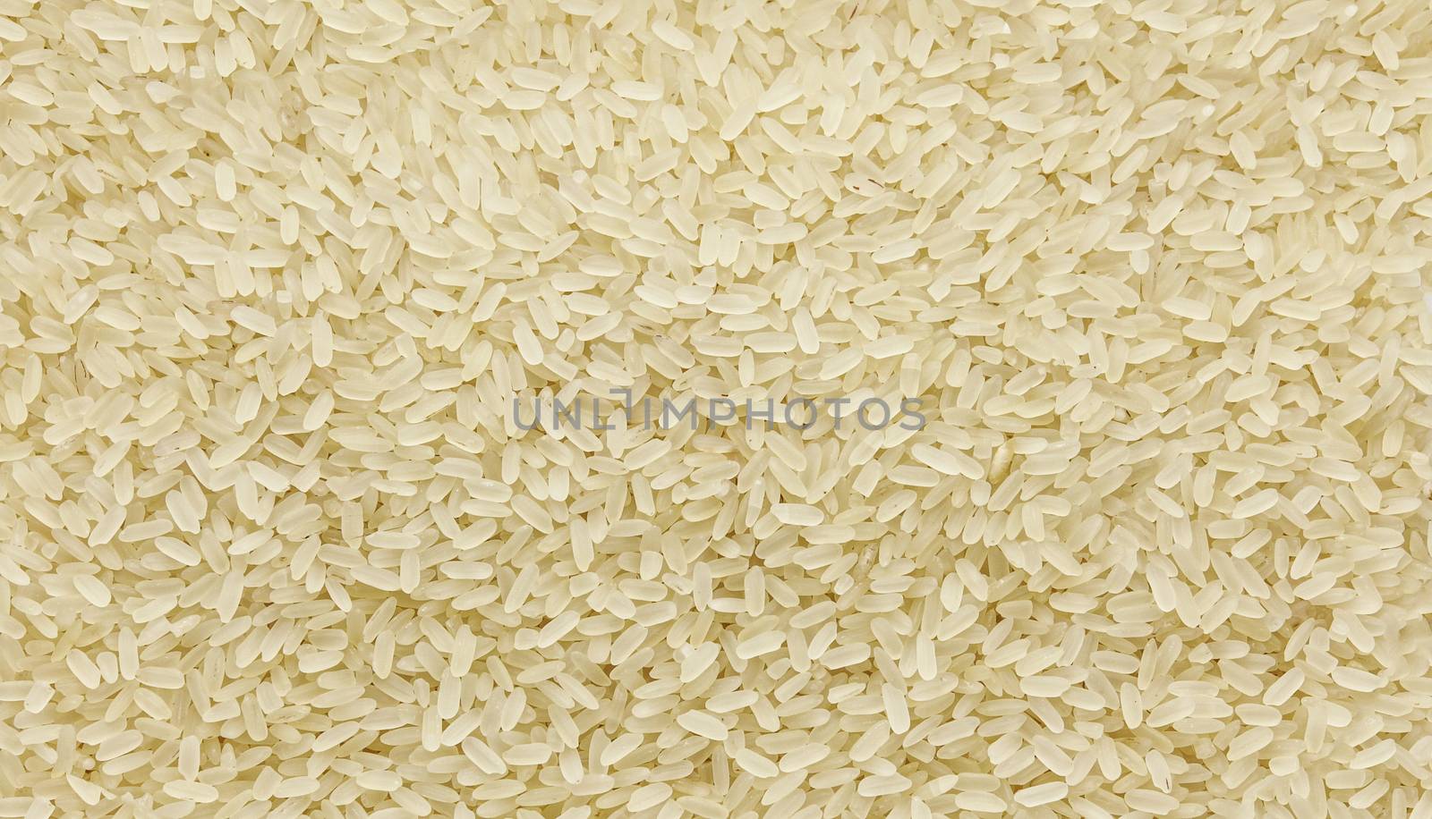 Steamed long grain rice - texture and details - traditional food, closeup