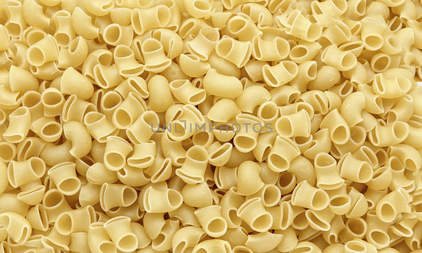 Italian paste - macaroni snail conquelioni - food grocery, close up