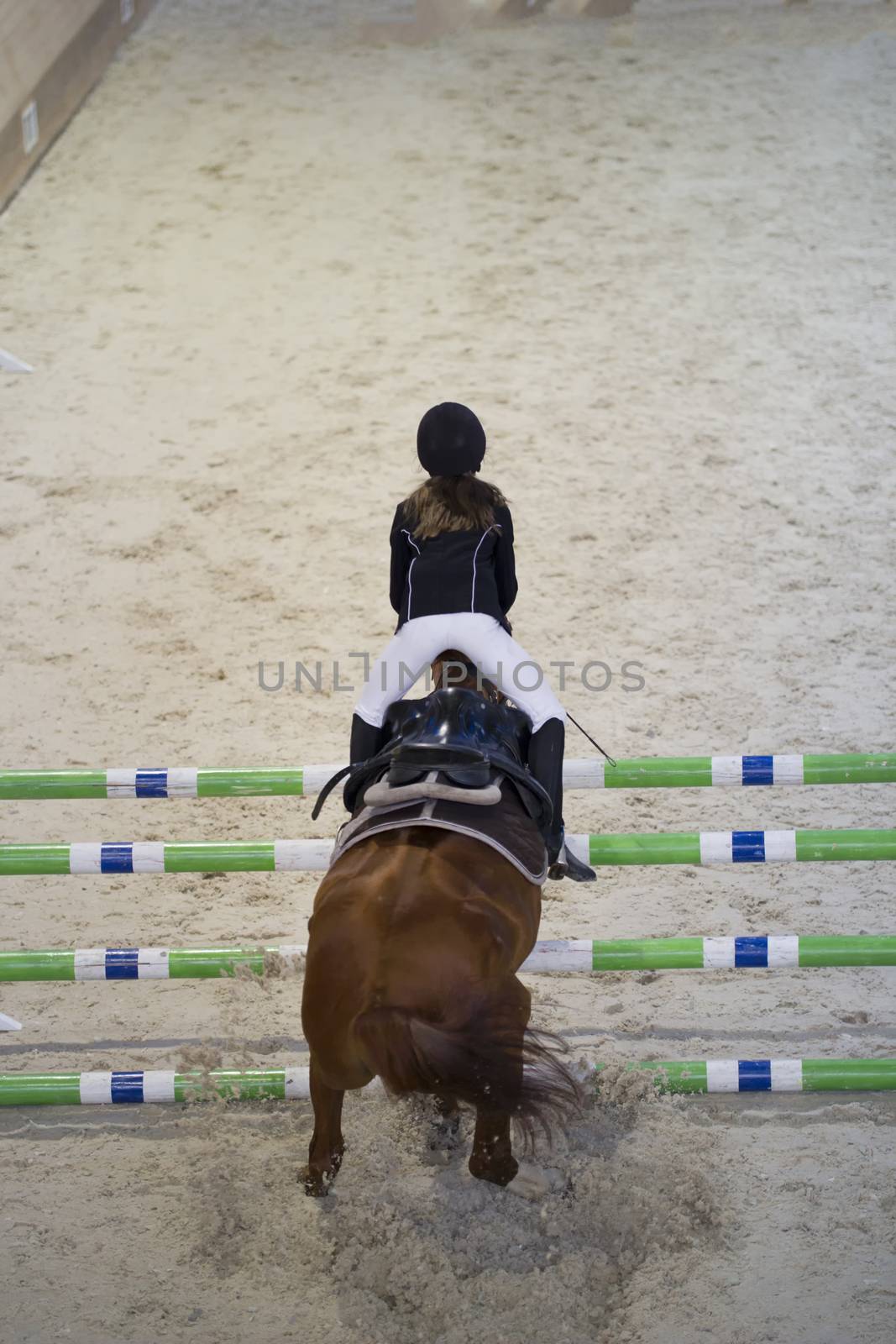 Young child girl rider jumping on the horse over obstacle at show jumping competition by Studia72