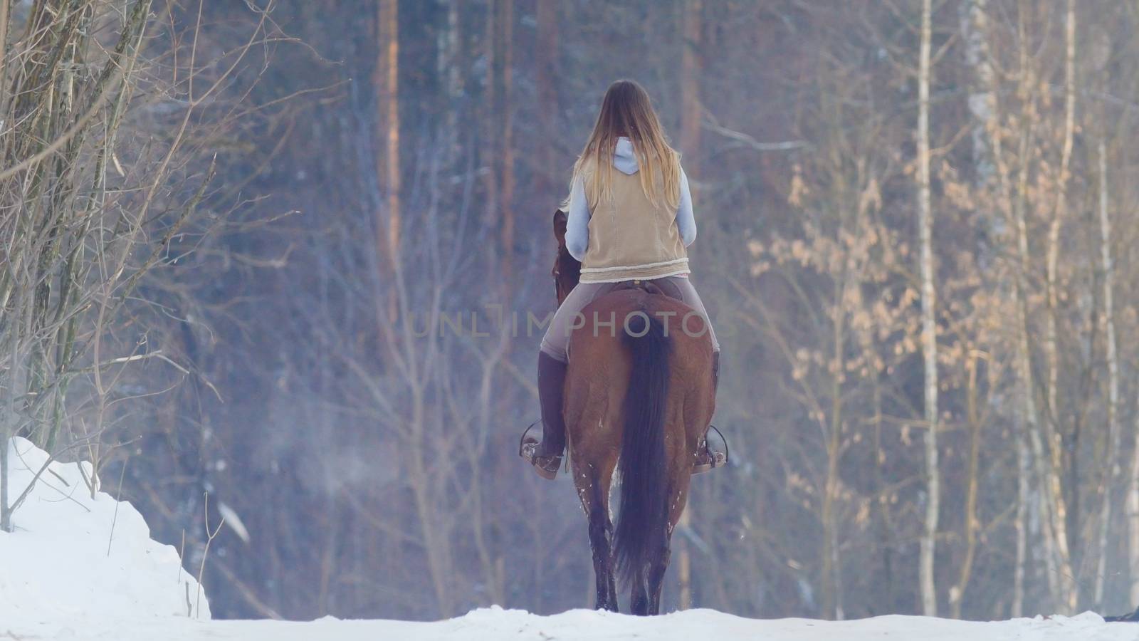 Female rider riding black horse through the snow, rear view, telephoto shot