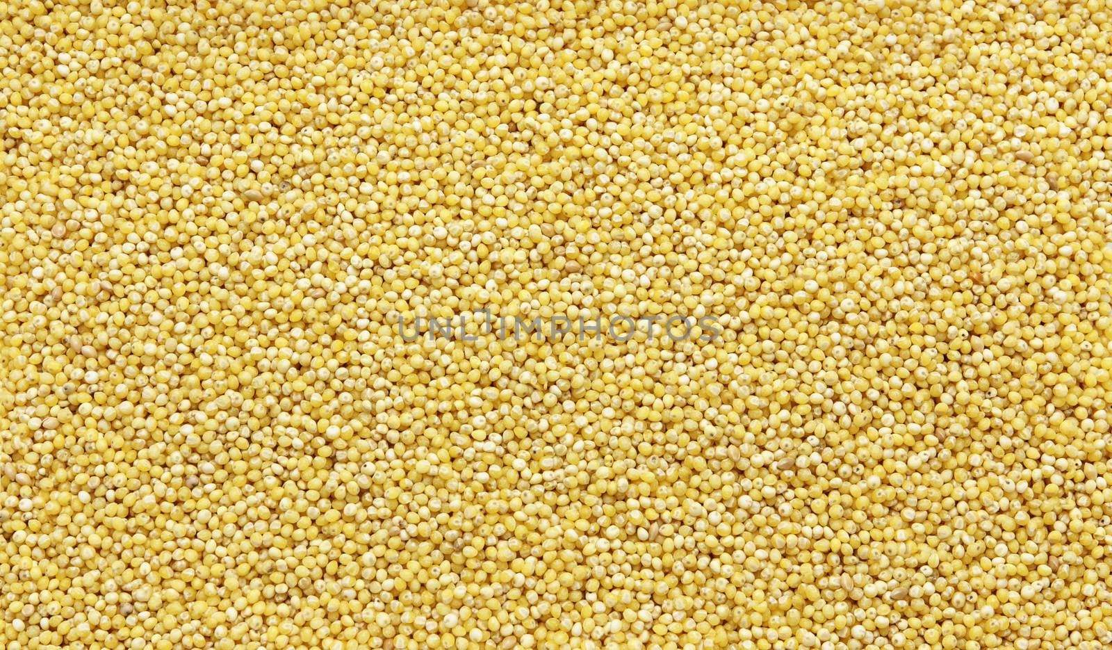Polished millet -texture and details - traditional food, closeup