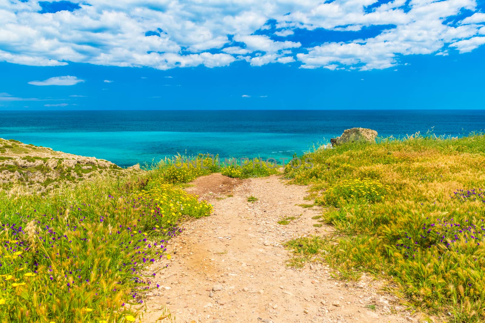 Picturesque road to the sea coast. Beautiful landscape with turquoise water, deep blue sky with clouds, grass and blooming flowers