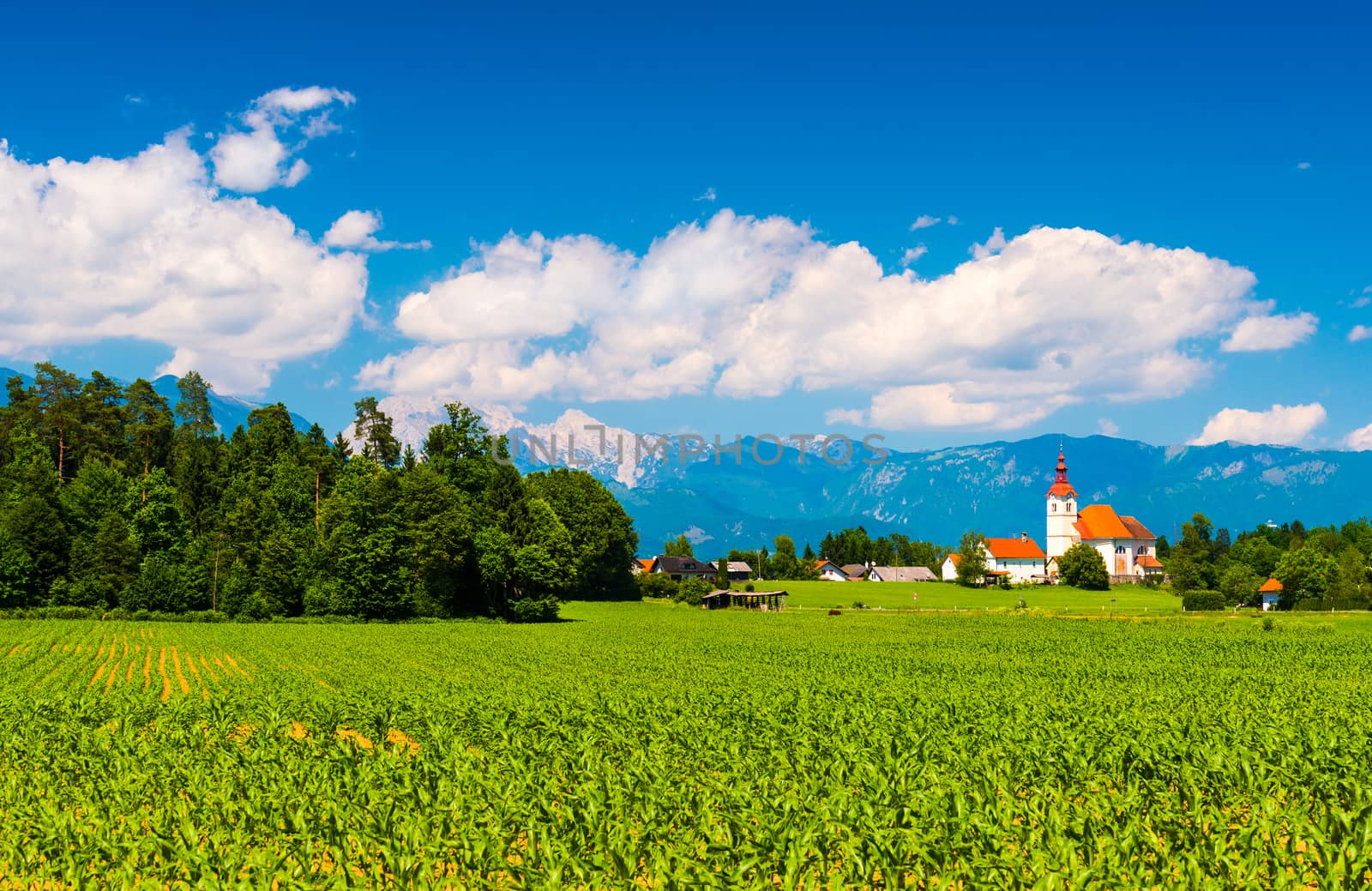 Beautiful landscape with mountains, forest, green field and the old Chapel with orange roof. Slovenia.