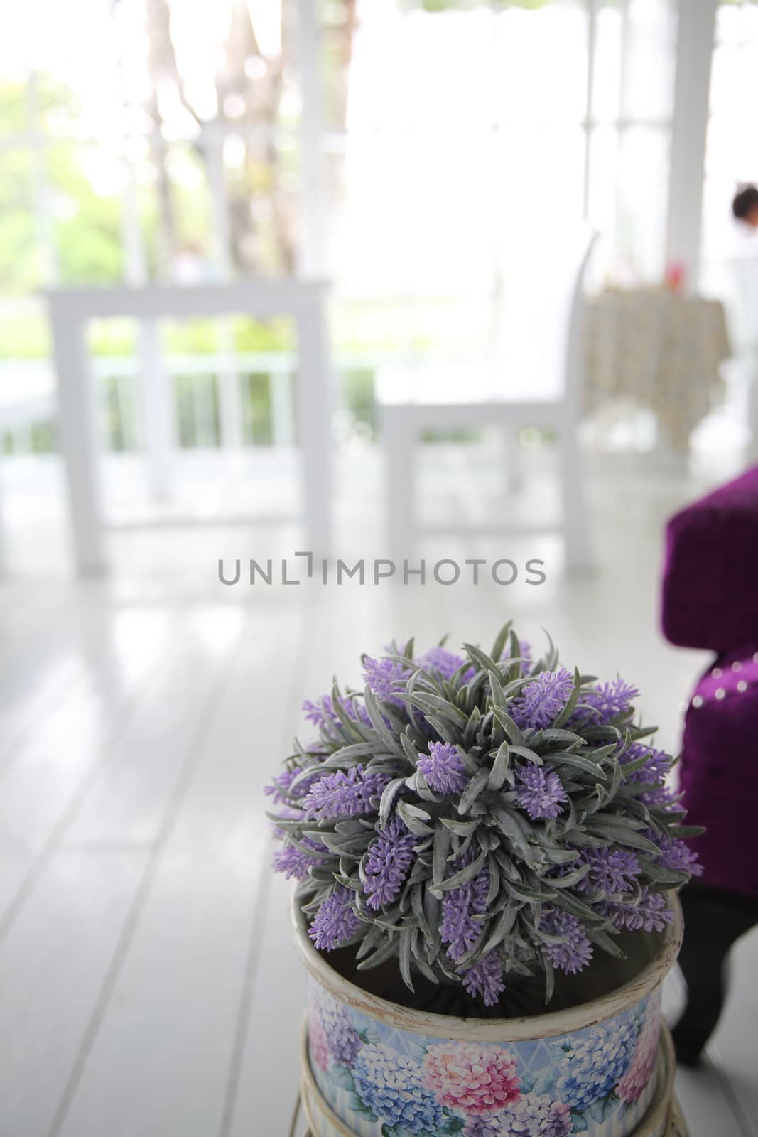 purple flower in jar