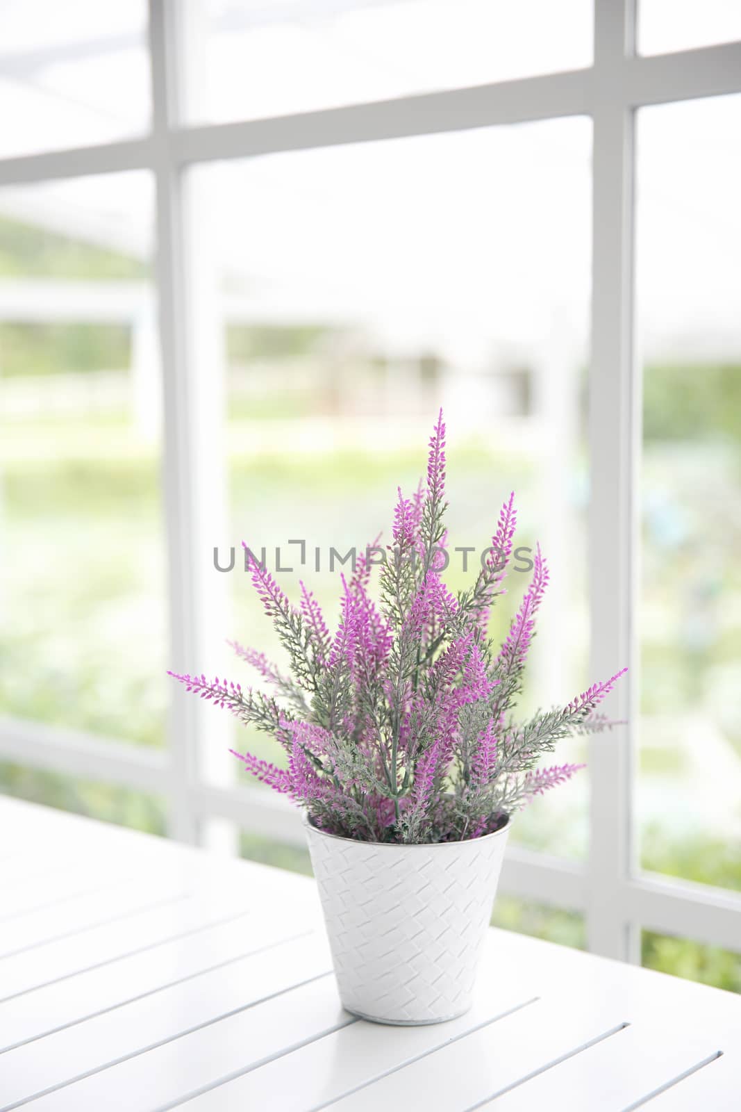 pink flower plant in jar