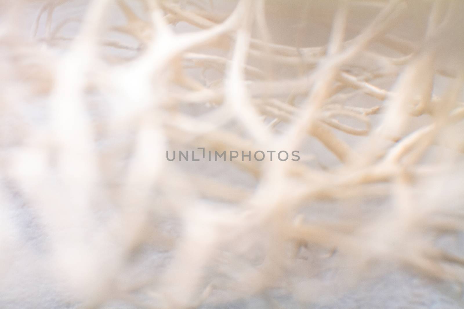 Artistic colored background creation from macro photo shot of dried sea sponge