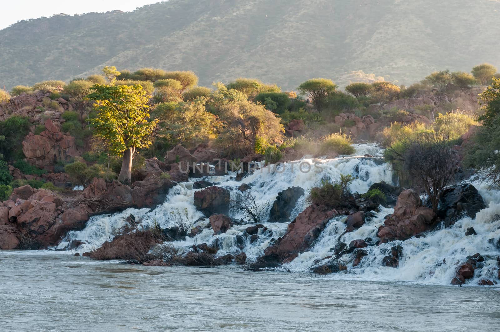 Part of the Epupa waterfalls in the Kunene River. A baobab tree is visible