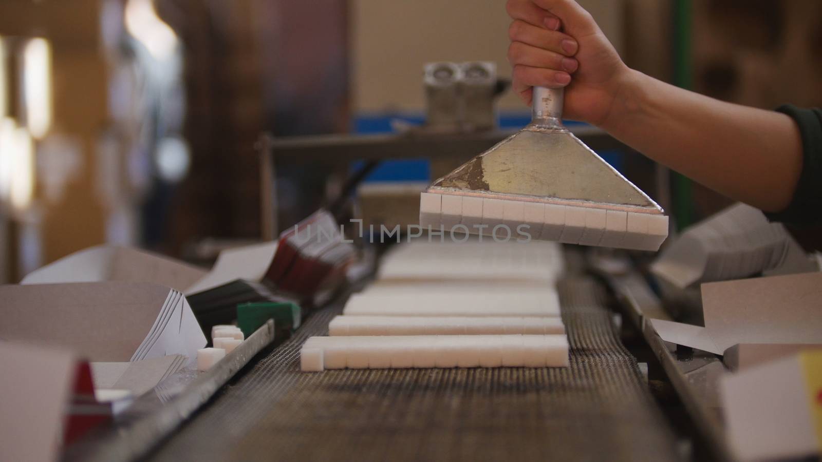 Worker takes sugar from production line at the sugar refinery, close up