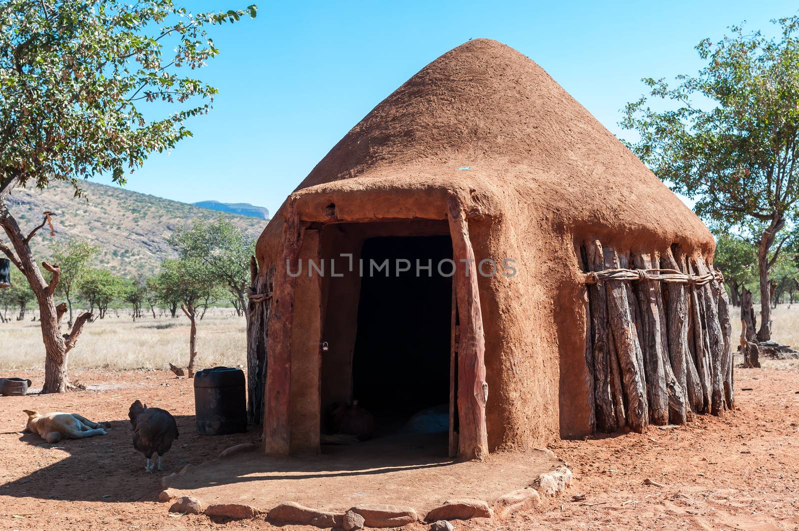 Traditional hut in a Himba village near Epupa by dpreezg