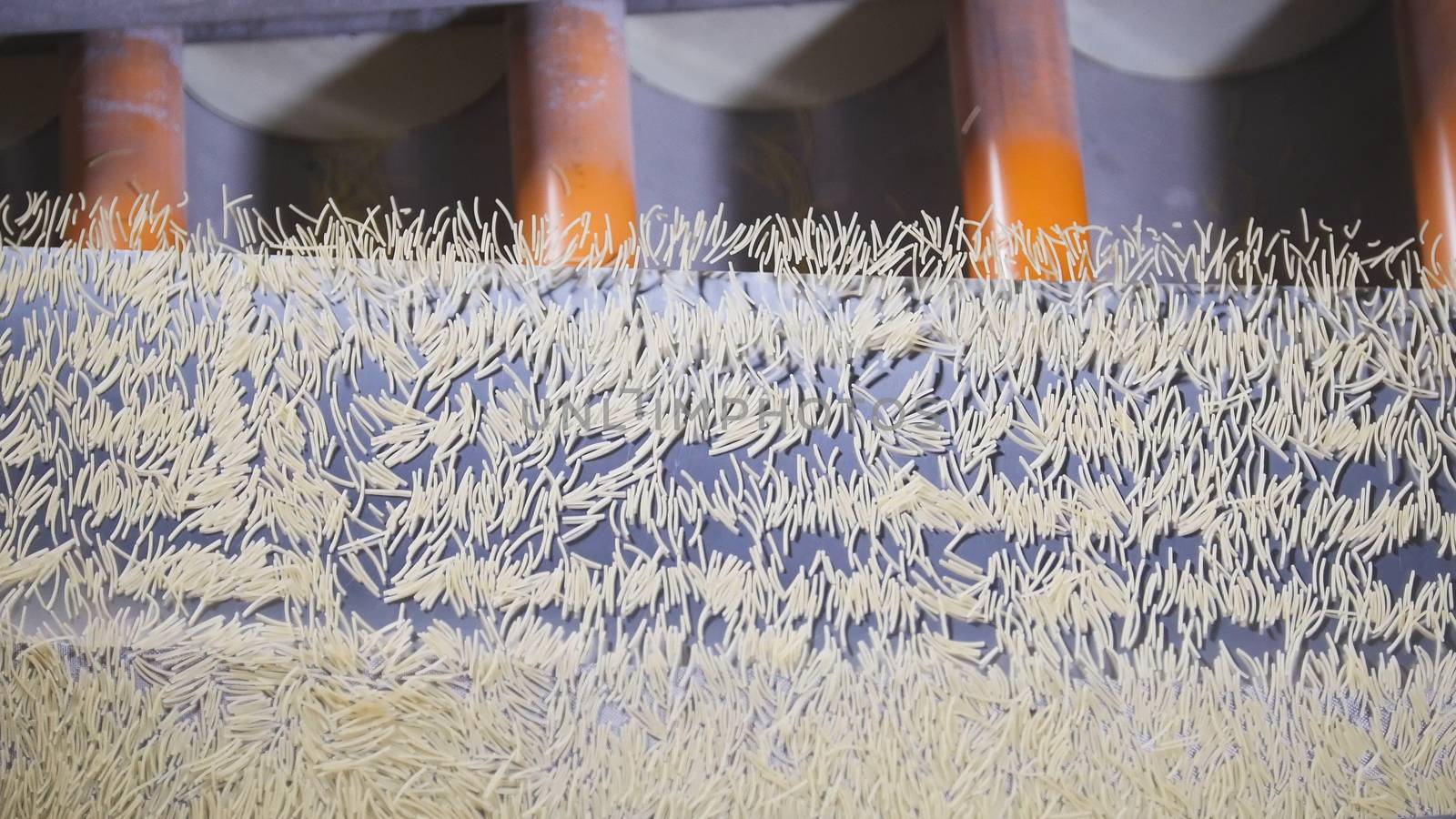 Macaroni product rolling on a conveyor belt in a pasta factory, close up