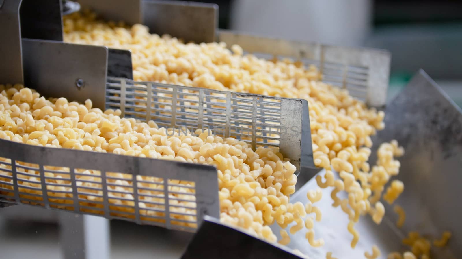 pasta manufactury production line - finished product, close up