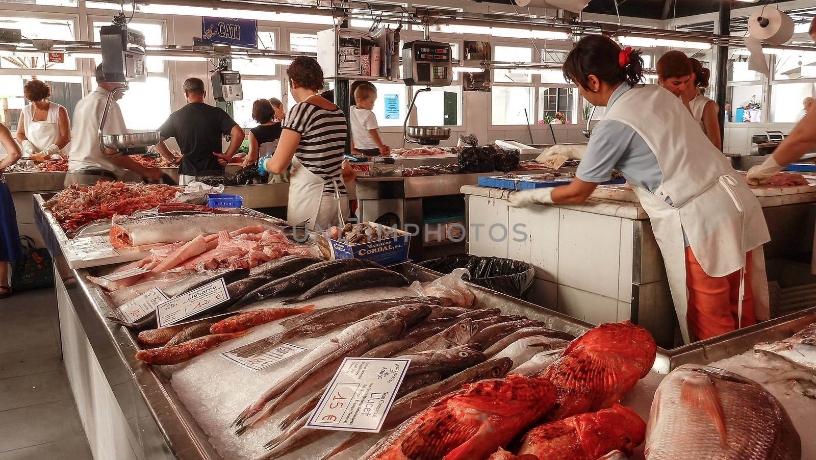 View of the fish market in Ciutadella de Menorca, with various c by robbyfontanesi