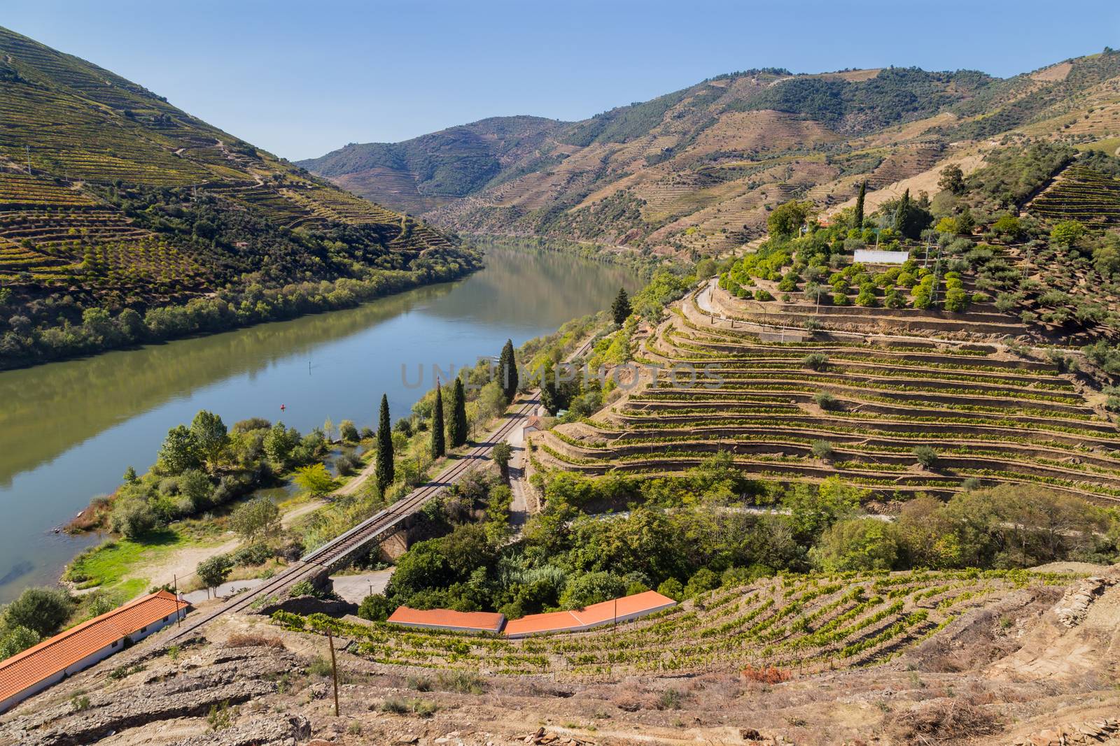 Scenic view of the Douro Valley and river with terraced vineyards near the village of Tua, Portugal