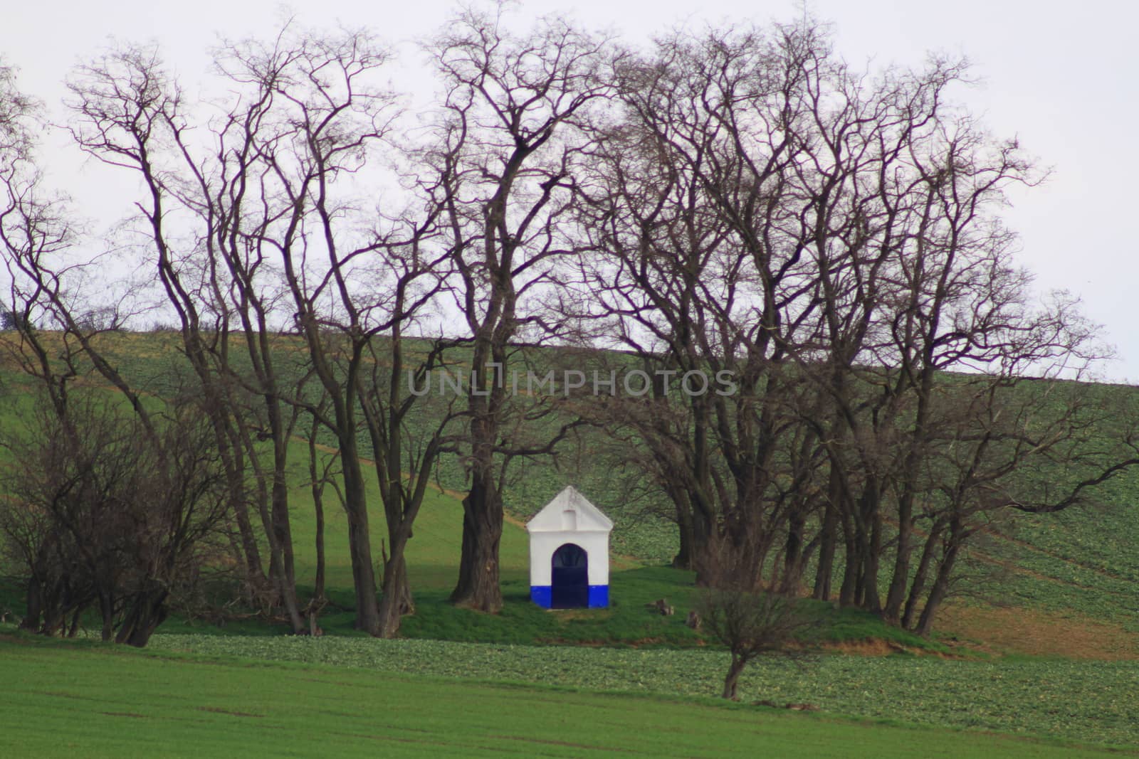 Spring time in Moravia Tuscany, South Moravian wine region