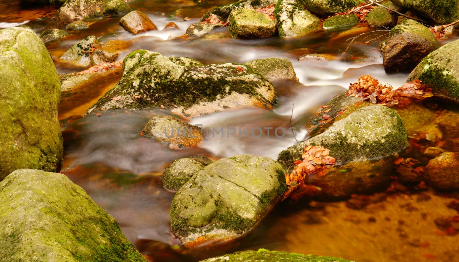 water in motion in autumn forest