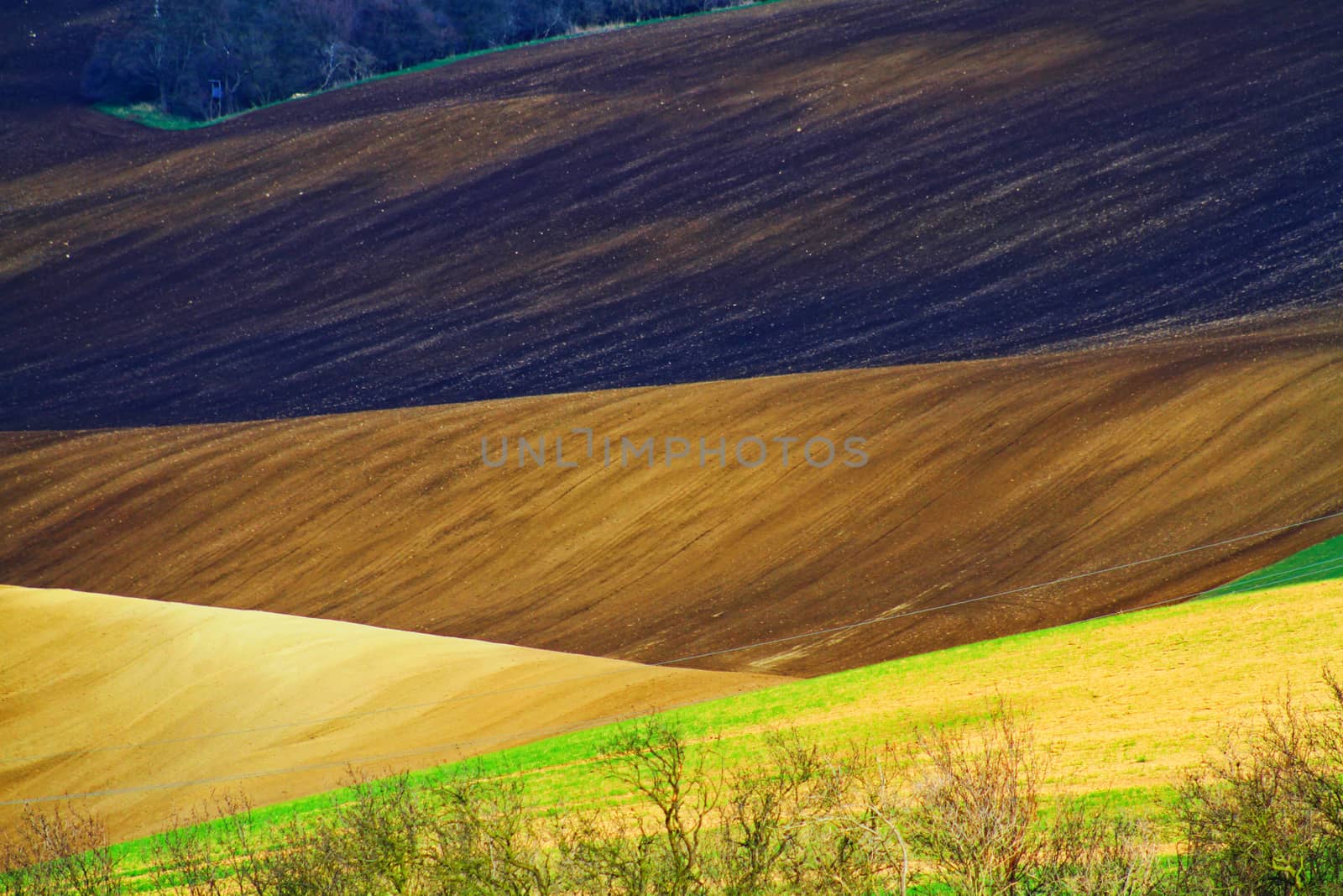 Spring time in Moravia Tuscany, South Moravian wine region