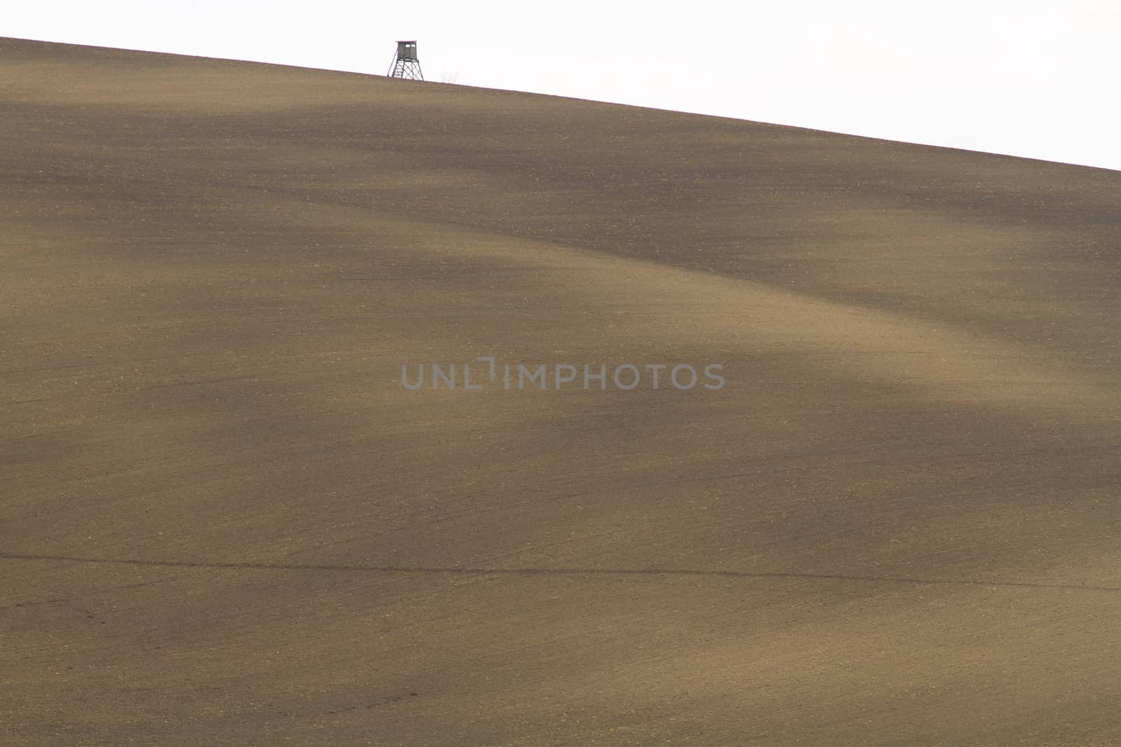 Spring time in Moravia Tuscany, South Moravian wine region