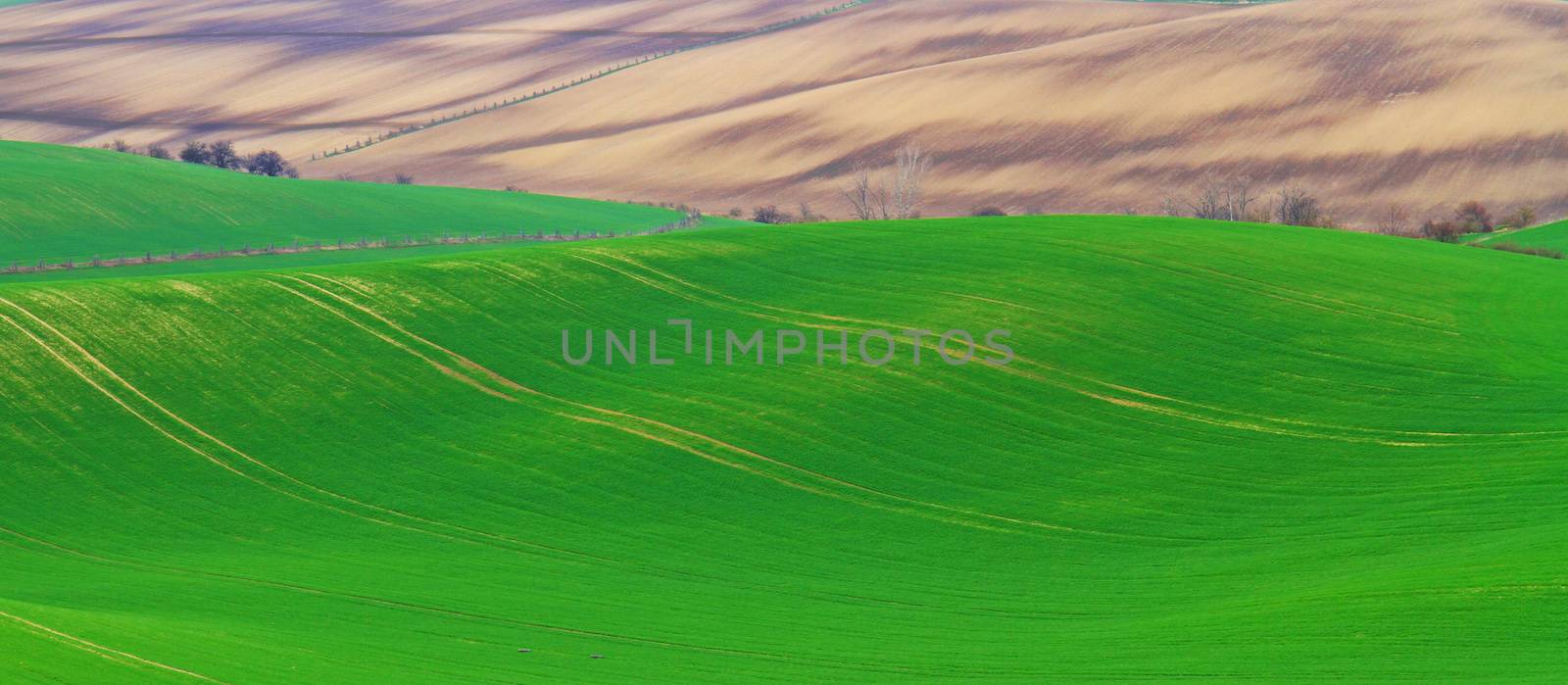 Spring time in Moravia Tuscany, South Moravian wine region by Jindrich_Blecha