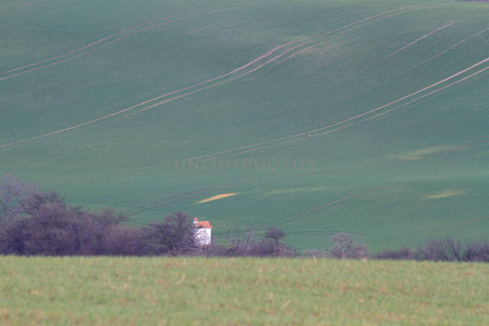 Spring time in Moravia Tuscany, South Moravian wine region