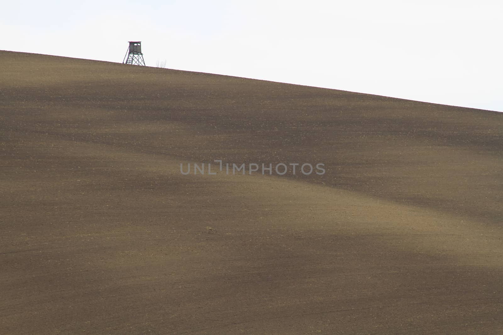 Spring time in Moravia Tuscany, South Moravian wine region