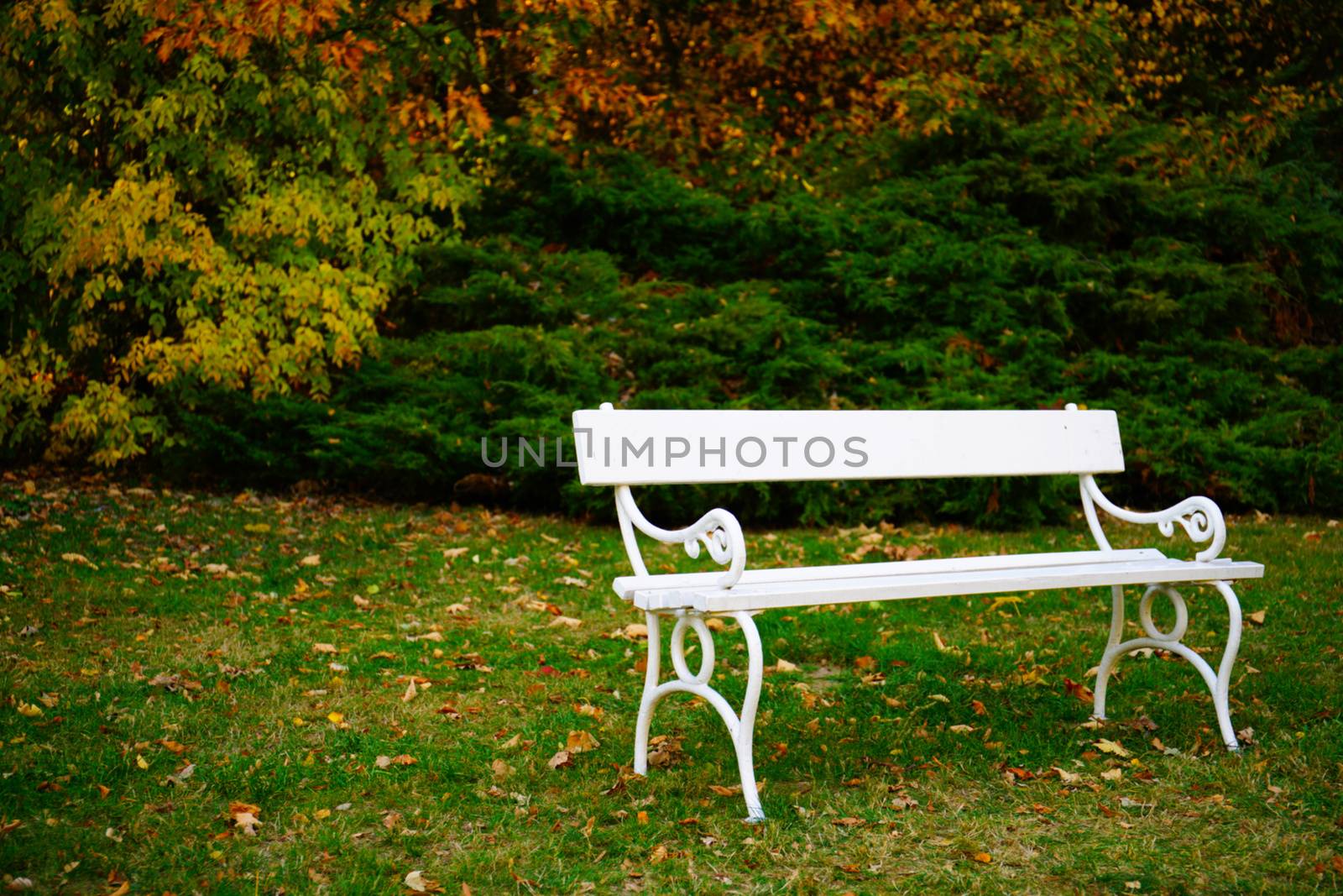 white bench - Autumn in Stirin Castle Park near Prague, Czech Republic by Jindrich_Blecha