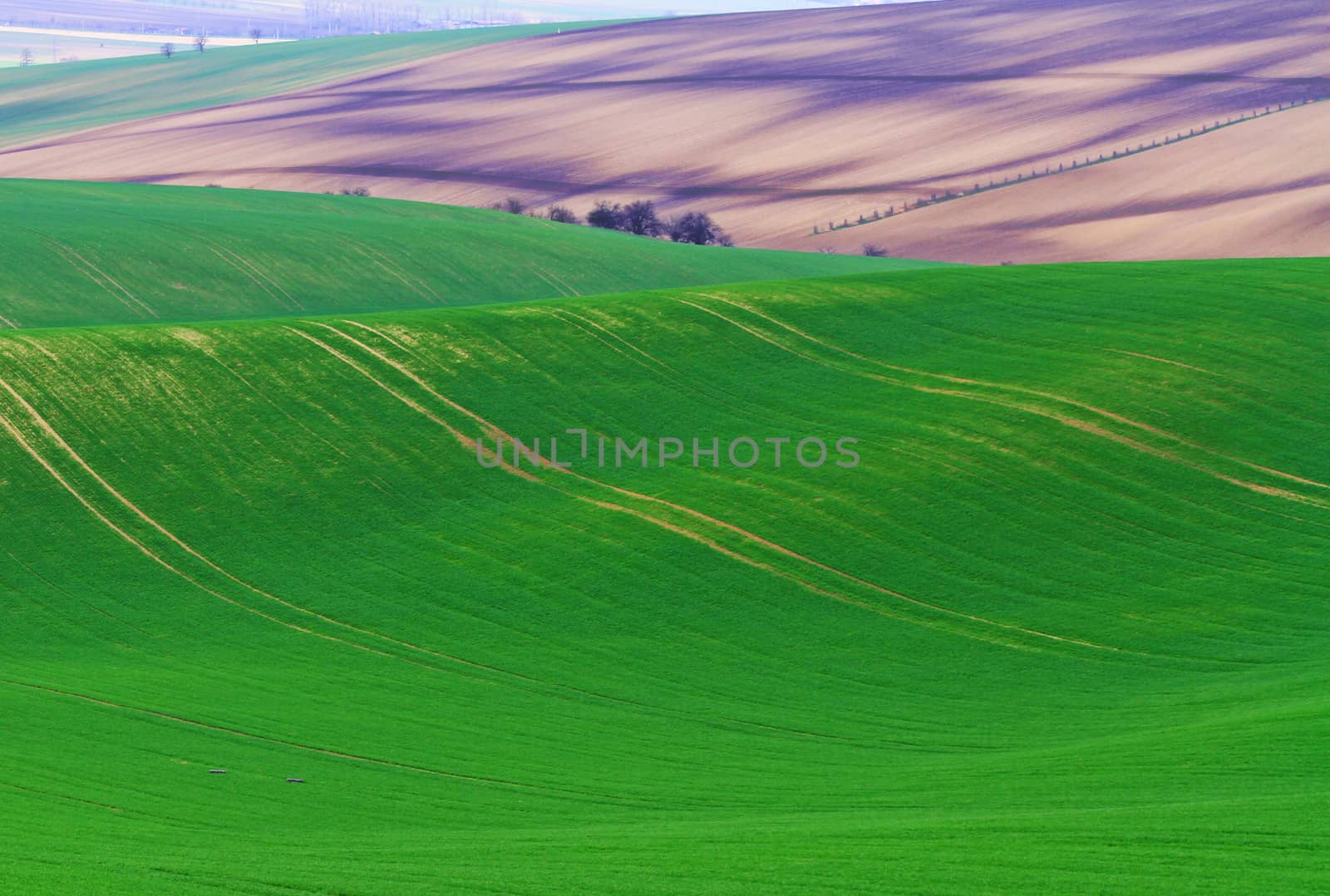 Spring time in Moravia Tuscany, South Moravian wine region