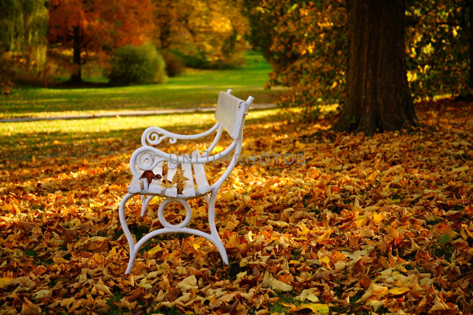 white bench - Autumn in Stirin Castle Park near Prague, Czech Republic by Jindrich_Blecha