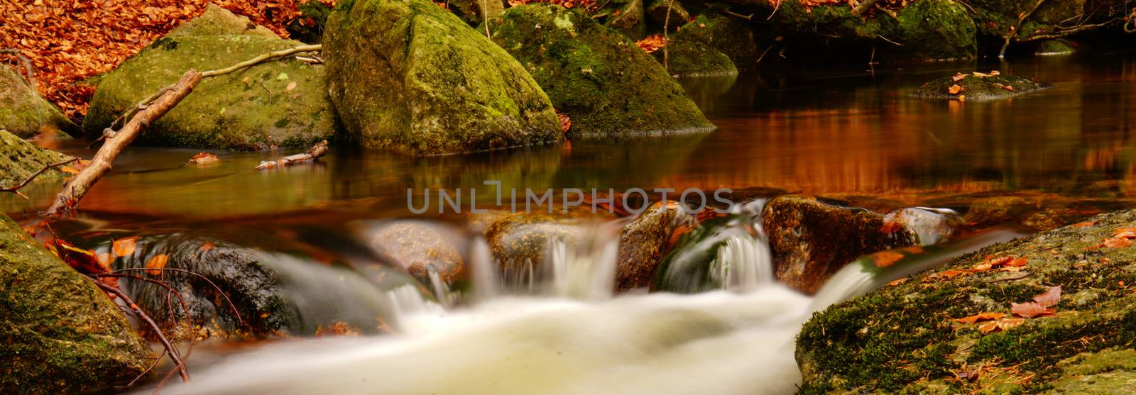 water in motion in autumn forest by Jindrich_Blecha