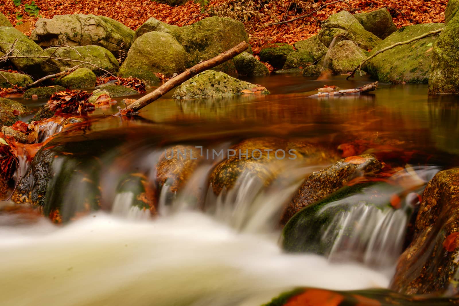 water in motion in autumn forest by Jindrich_Blecha
