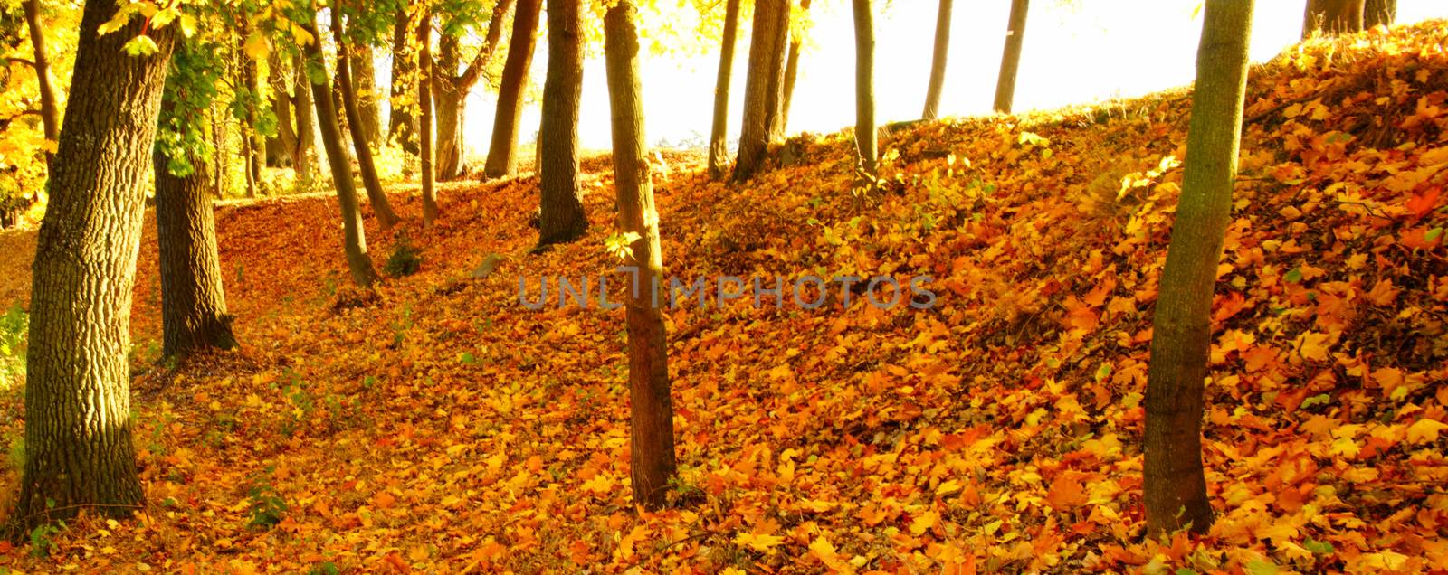 Autumn in Stirin Castle Park near Prague, Czech Republic