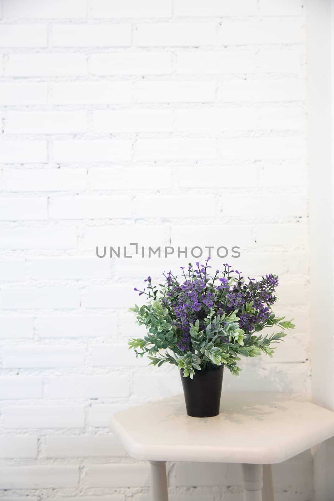 purple flower in jar