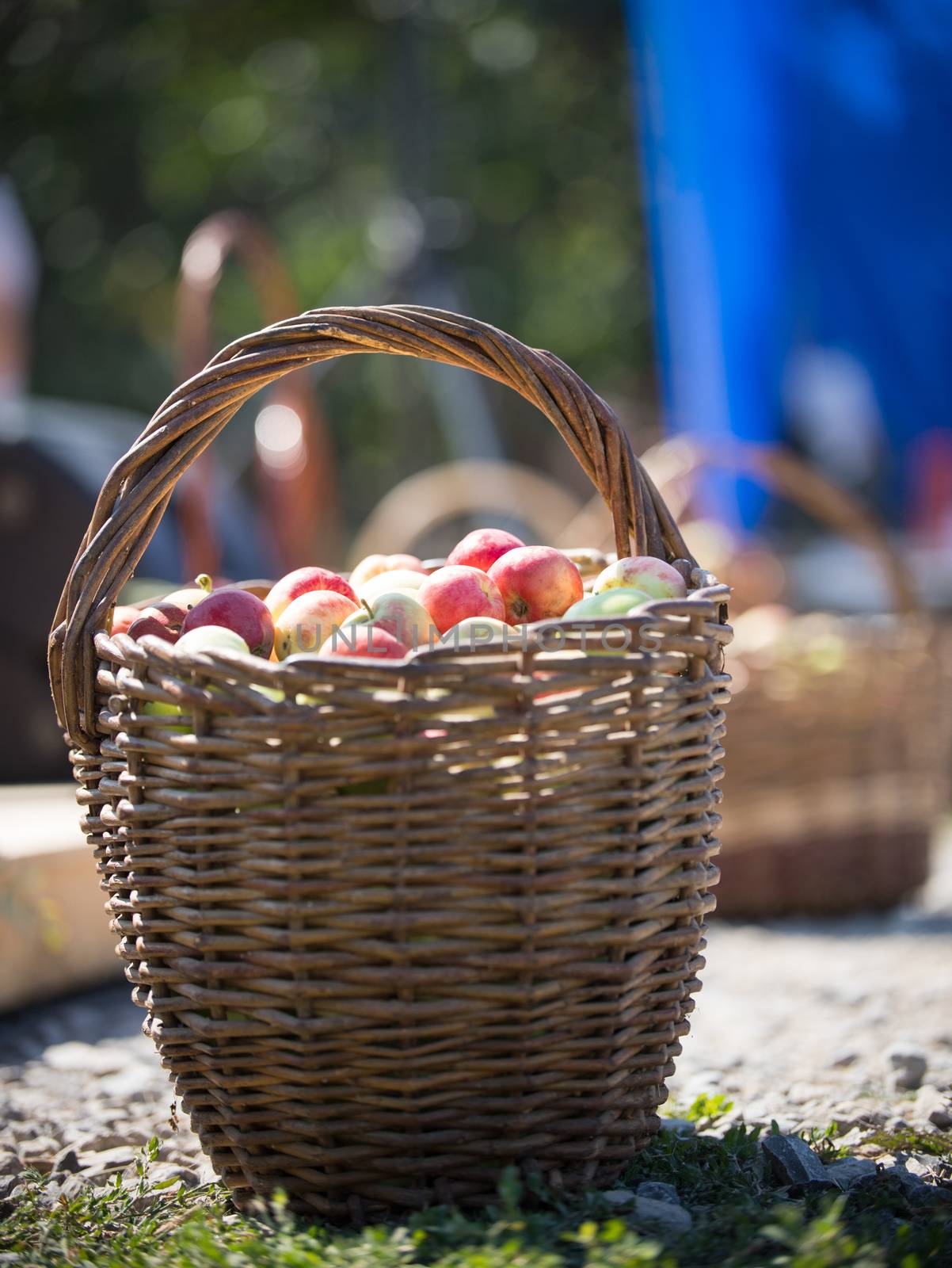 In the foreground is a basket of apples on the grass on the Russian folk festival by Studia72
