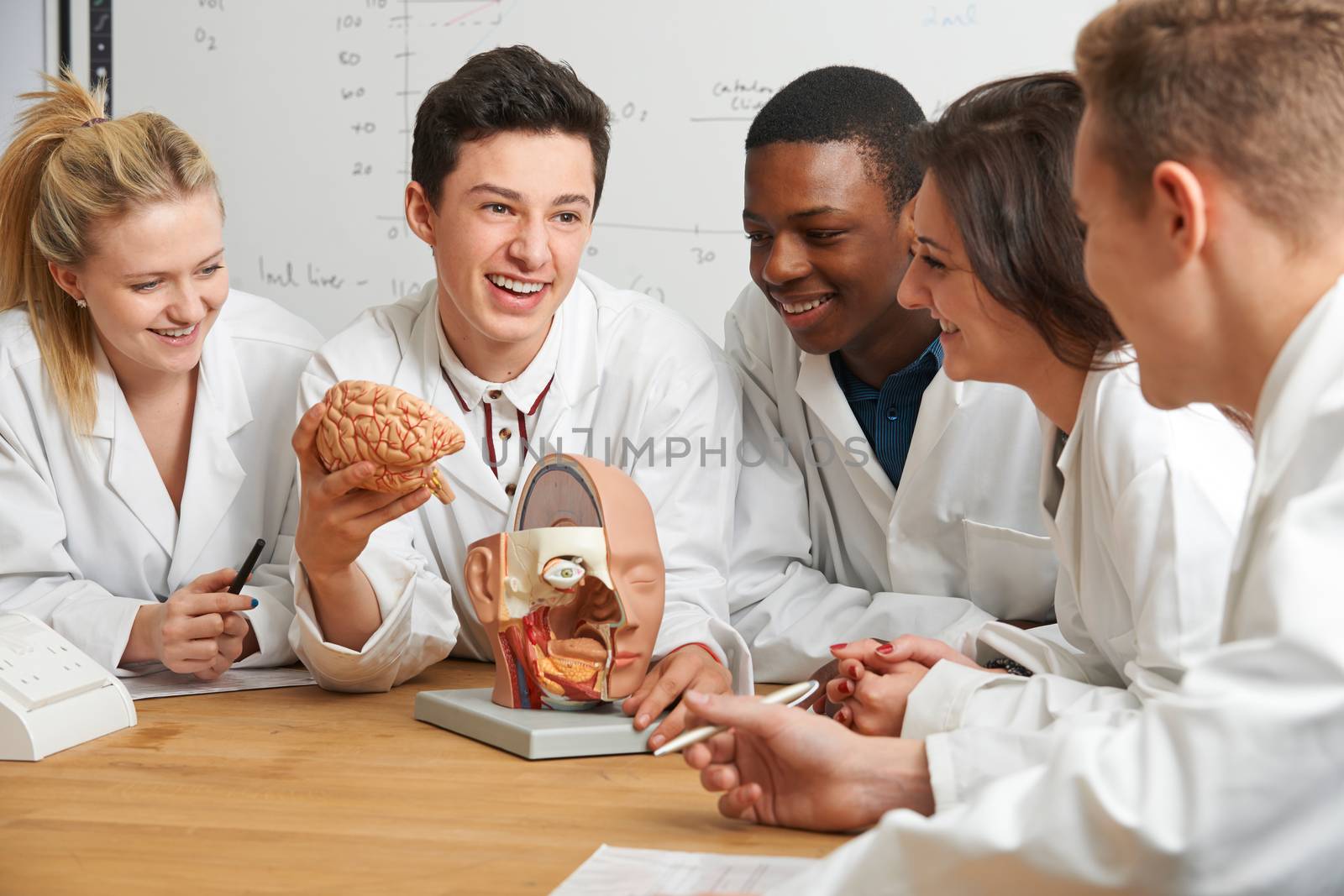 Group Of Students Looking At Model Brain In Biology Class