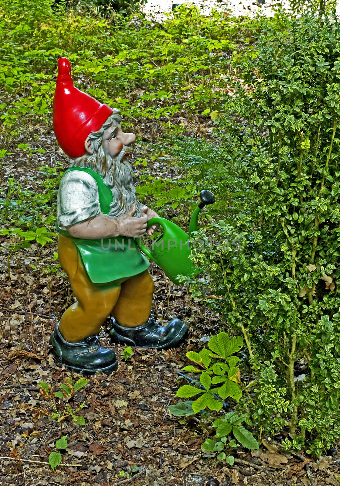 A colourful gnome in a Fairy Garden