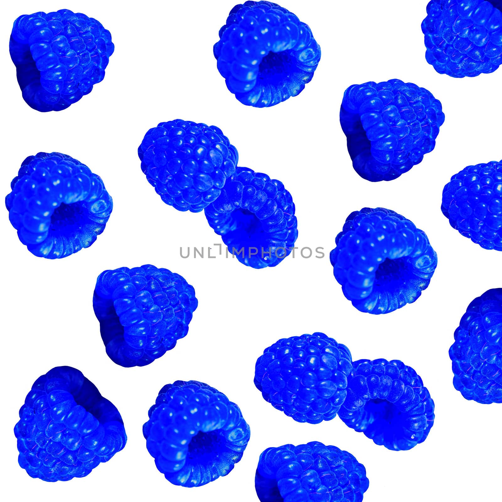 Pattern of Fresh sweet blue raspberries texture background. Delicious first class blue berries.