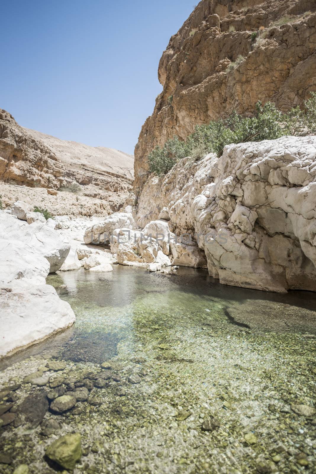 Turquoise water of the river going thru the canyon of Wadi Bani Khalid, Sultanate of Oman. This is one of the most visited place of the country