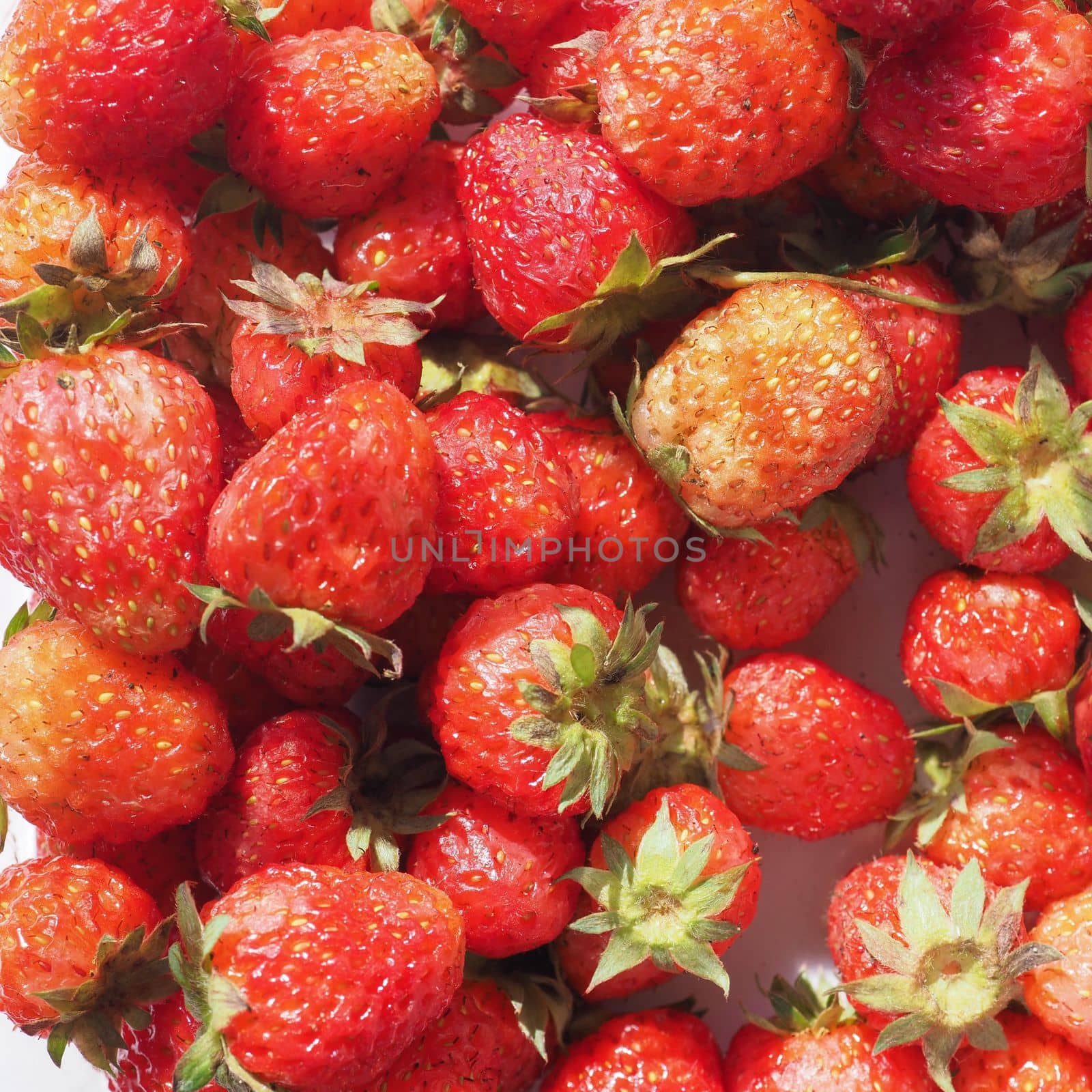 strawberry fruit food by claudiodivizia