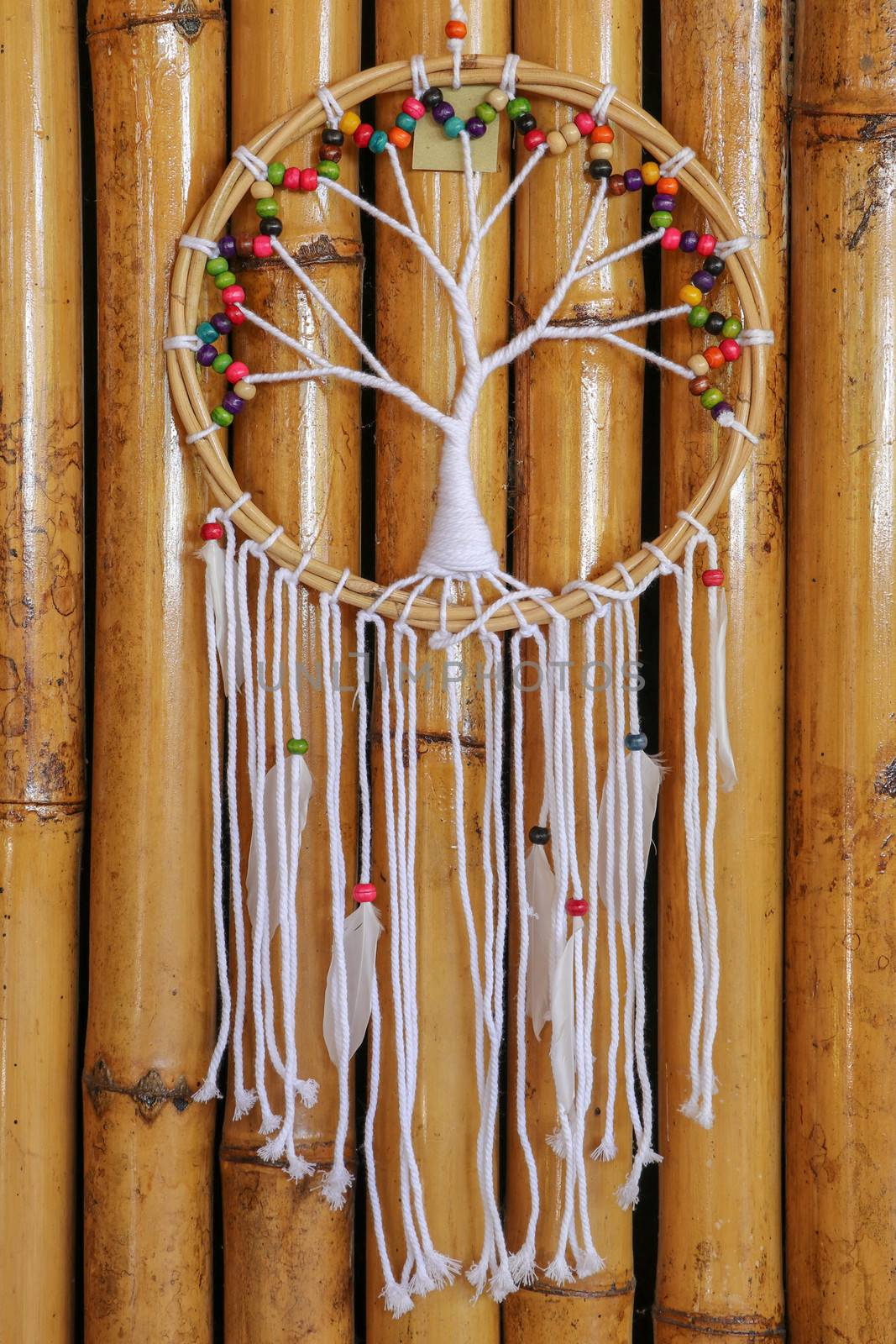 White dreamcatcher - Indian amulet that protects the sleeper from evil spirits and diseases.. The tree - symbol of life. Dream catcher on bamboo background.