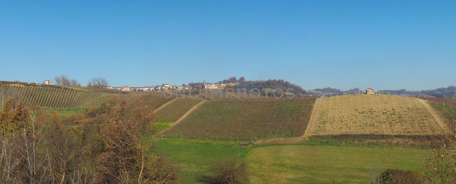 The hills in Monta D'Alba by claudiodivizia