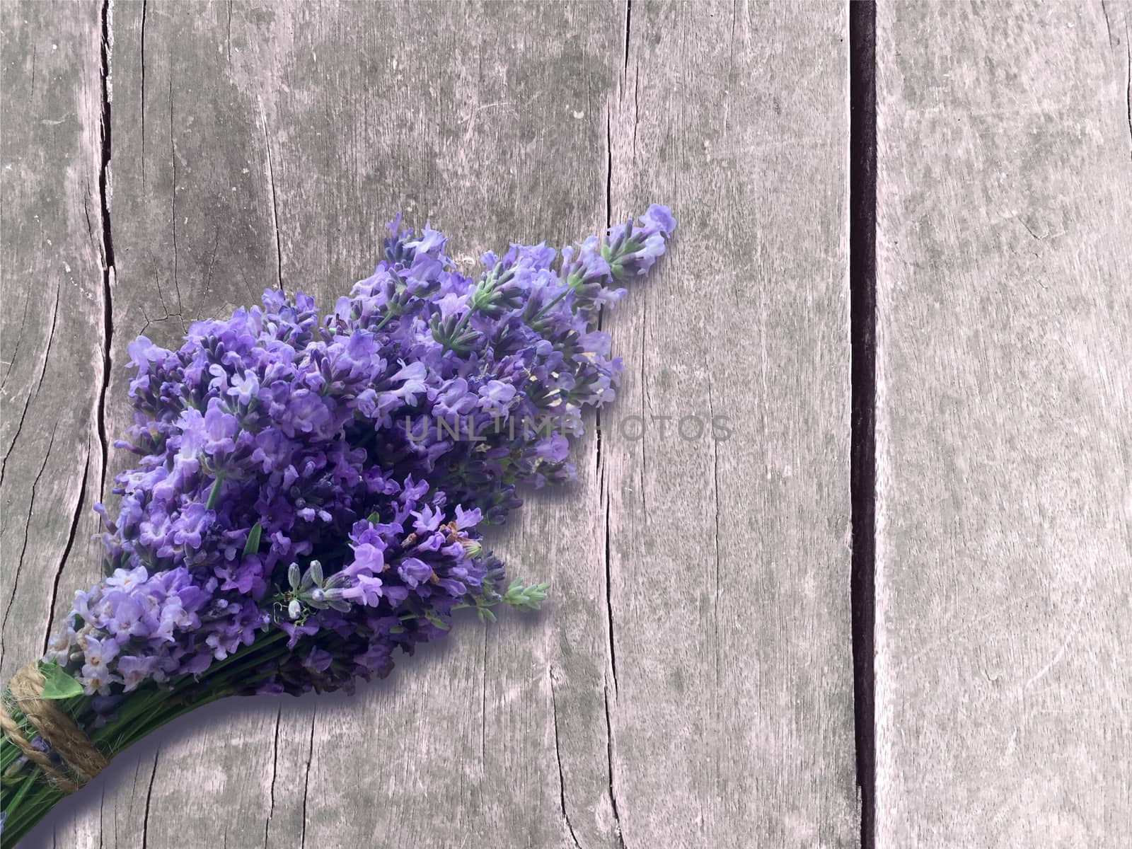 Bunch of blooming lavender on wooden background.  by Margolana