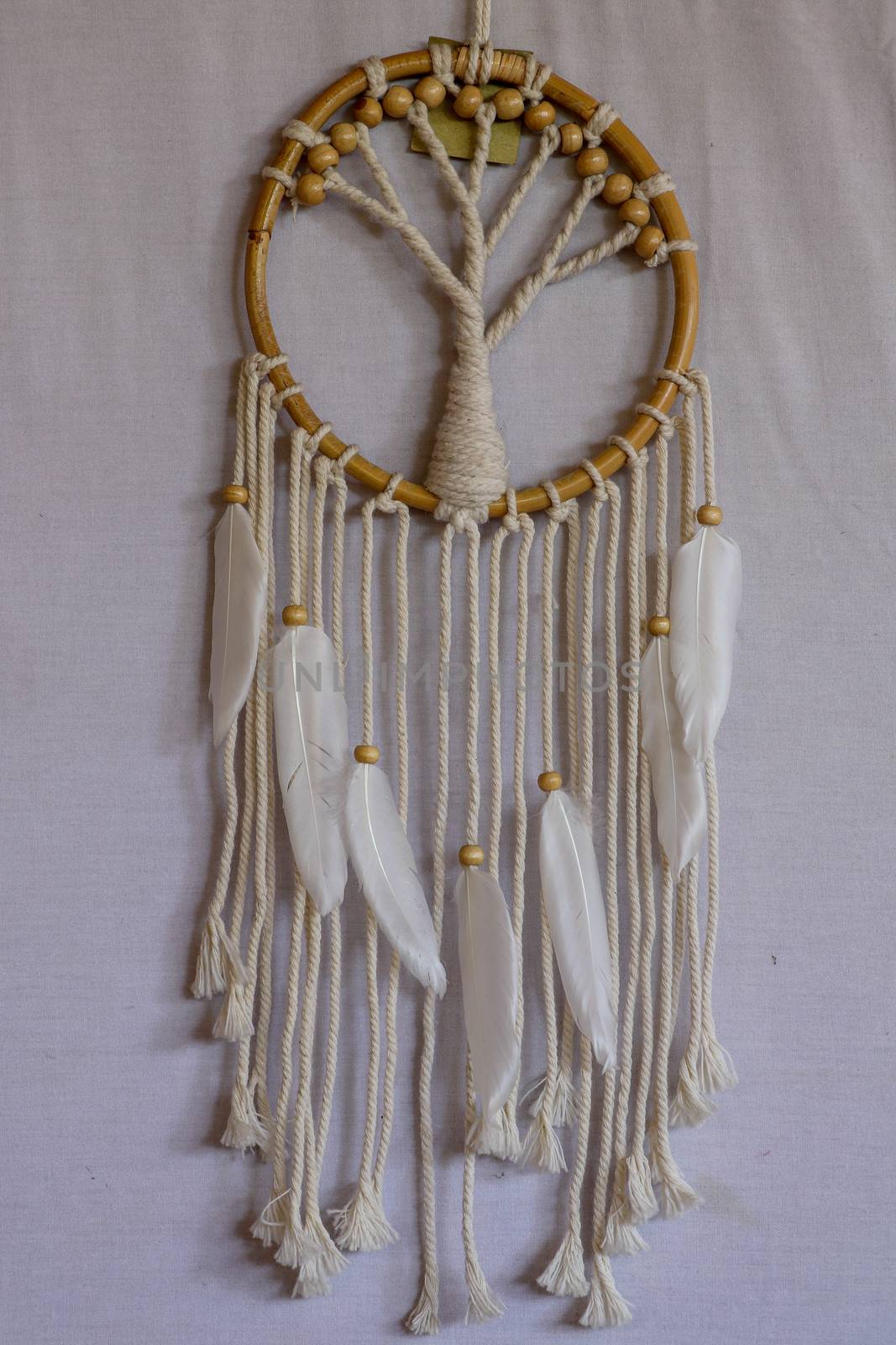 White dreamcatcher - Indian amulet that protects the sleeper from evil spirits and diseases.. The tree - symbol of life. White background.