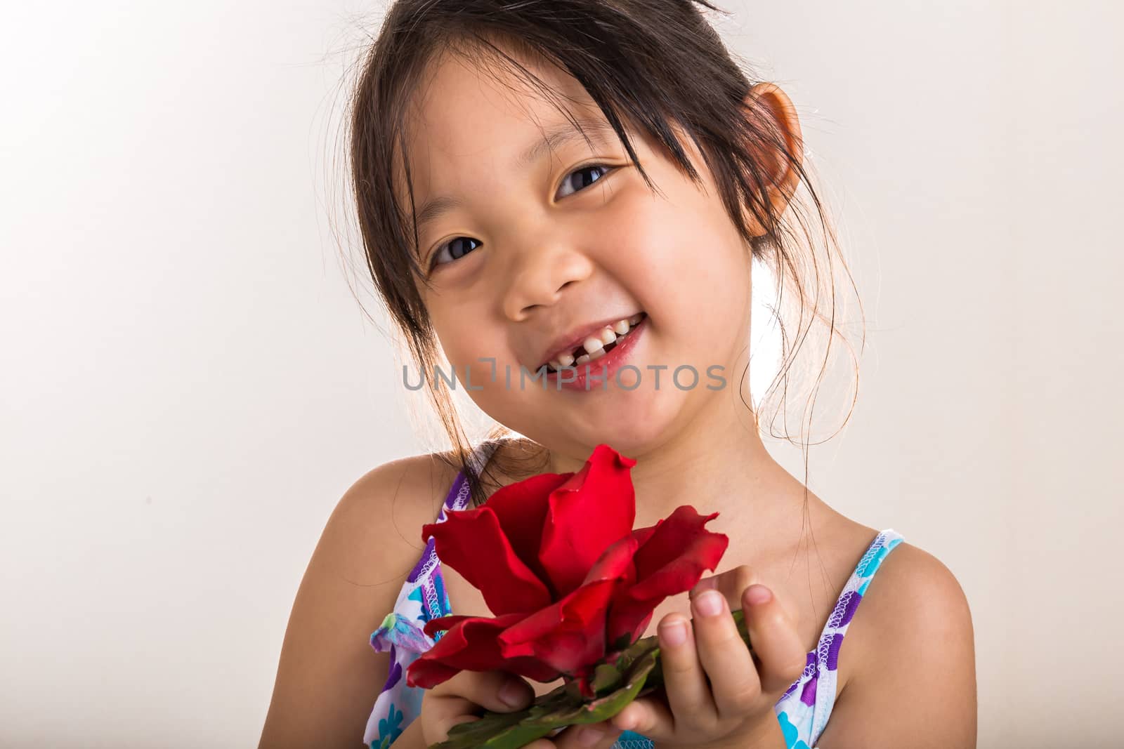 Child is holding red rose in her hands background.