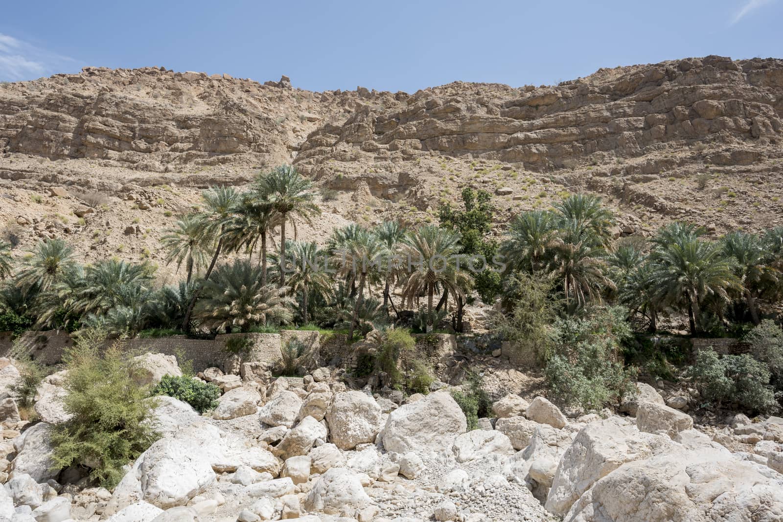Palm grove and garden, Wadi Bani Khalid, Sultanate of Oman by GABIS