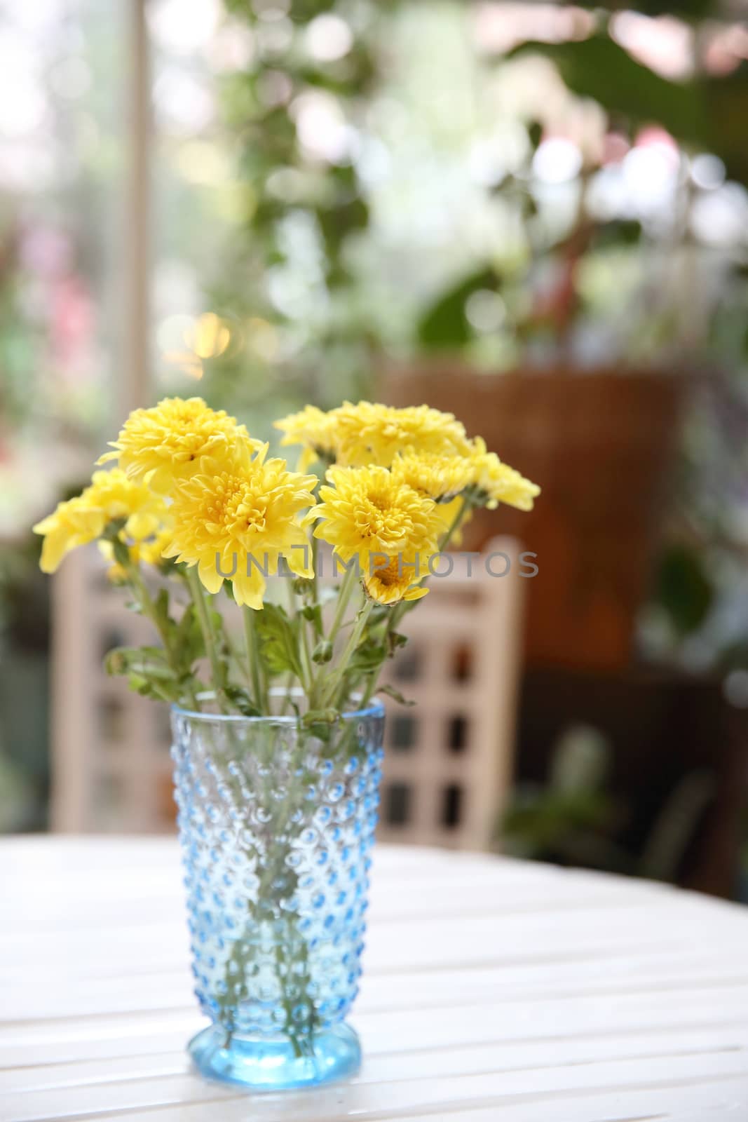 yellow flower in jar by piyato