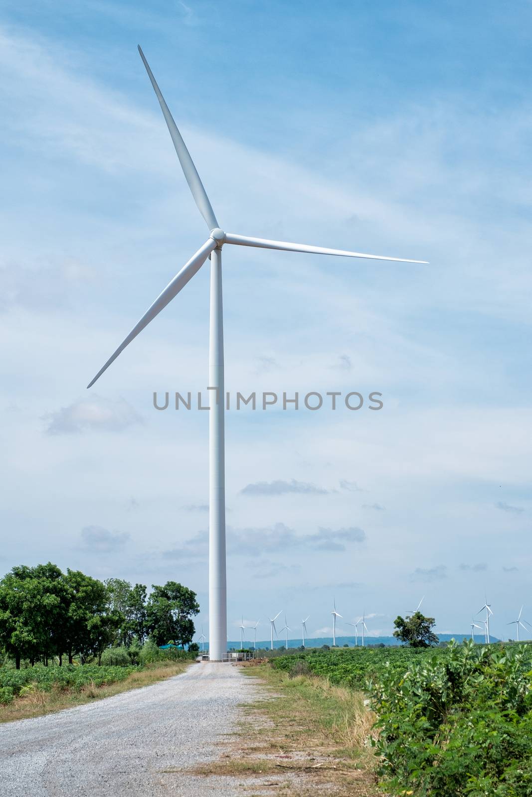 Wind turbine power at daylight 