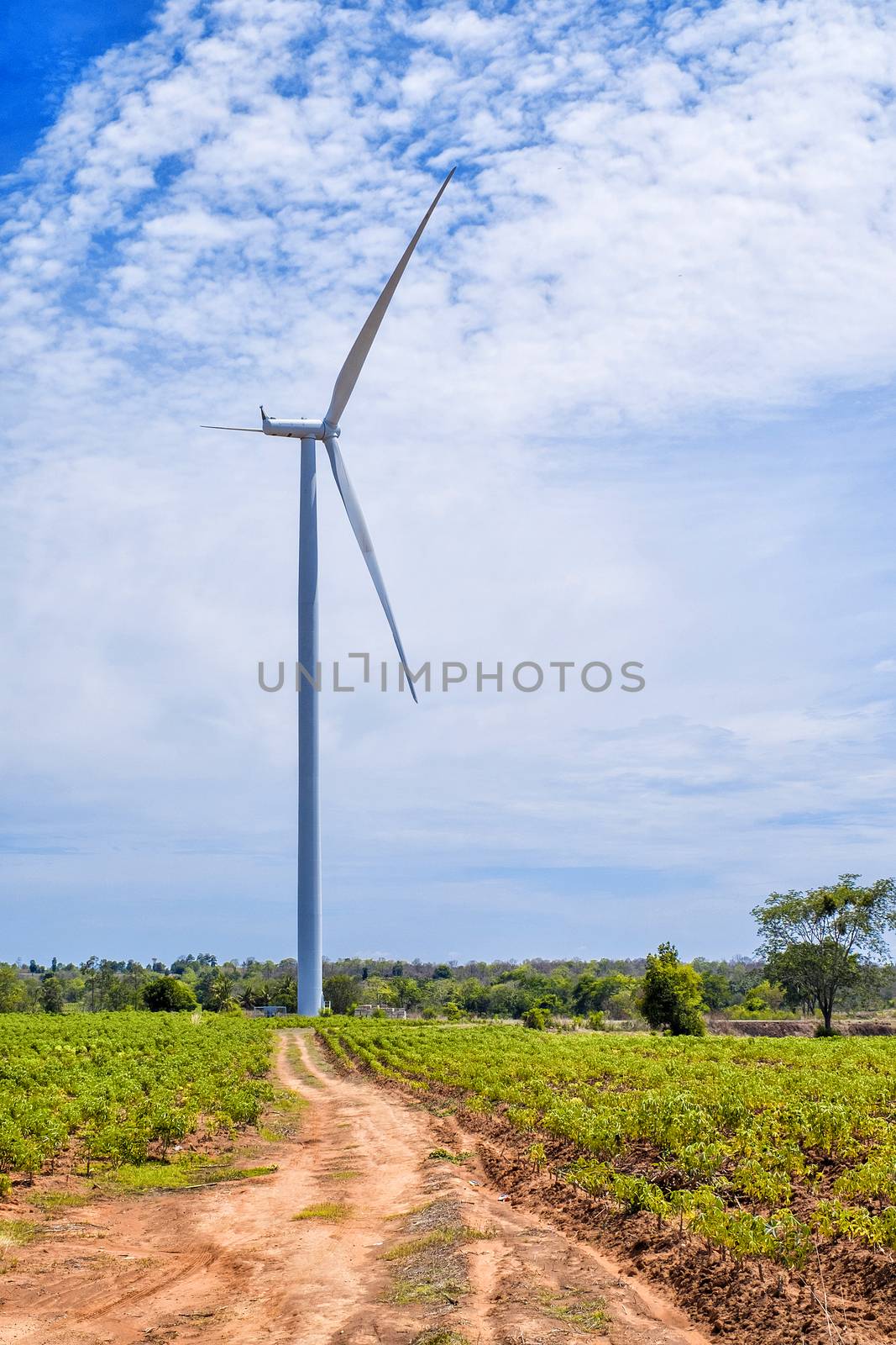 Wind turbine power at daylight  by Surasak