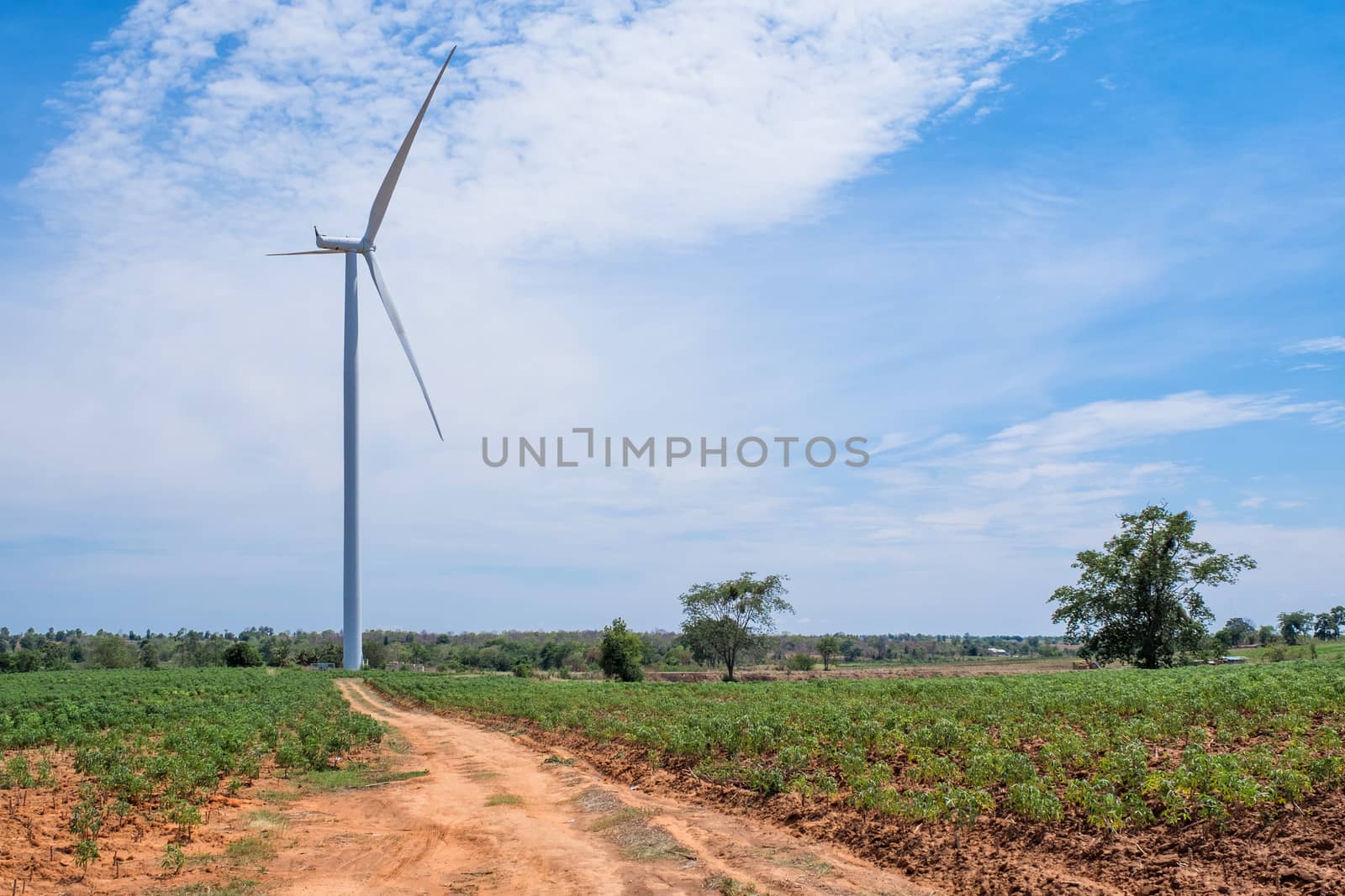 Wind turbine power at daylight 