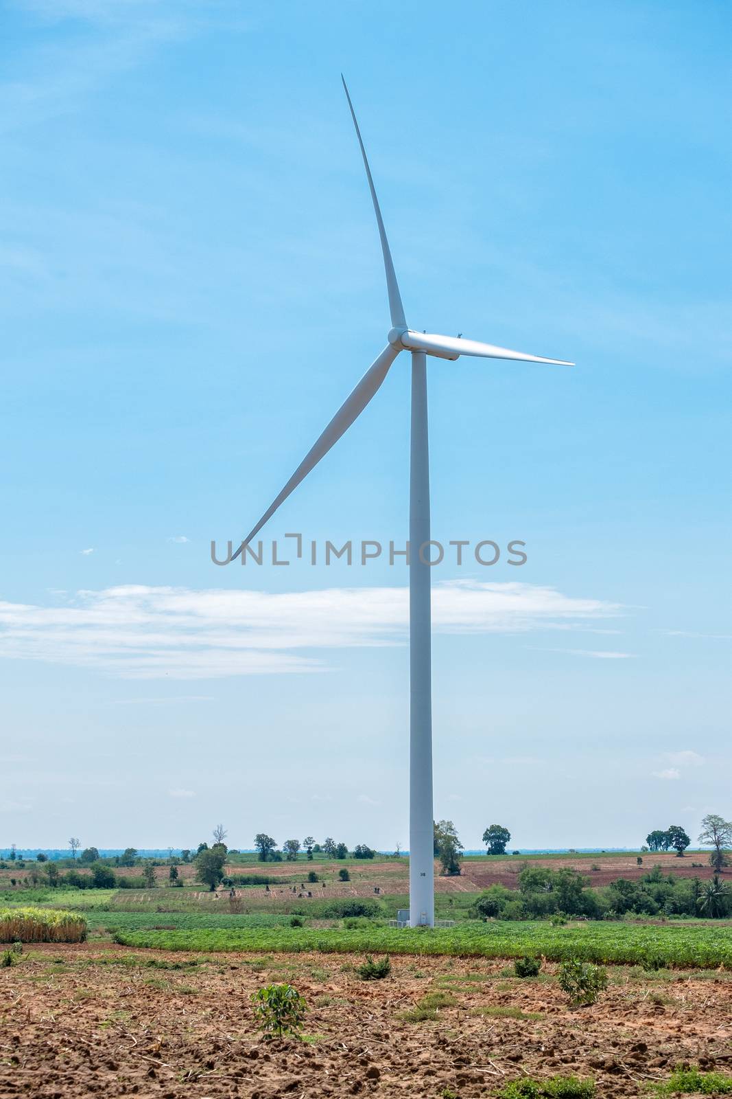 Wind turbine power at daylight 